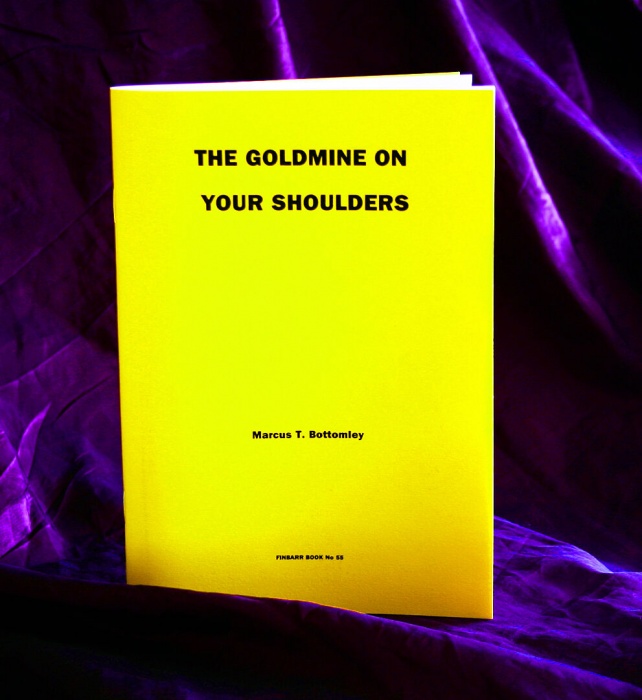 The Goldmine On Your Shoulders By Marcus T. Bottomley